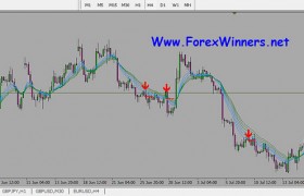 Forex profit cheetah free download