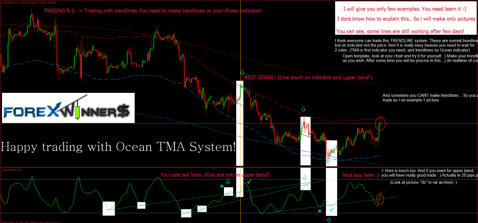 Best forex brokers 2013