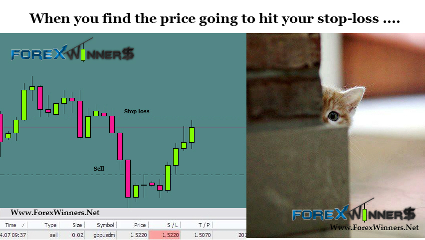 Forex trading system fx preis levels v6