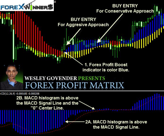 Forex profit tracker