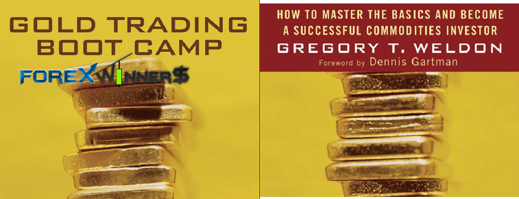 Forex bootcamp review