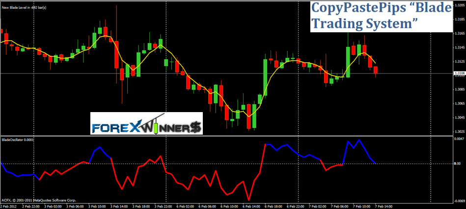 241 forex trading system