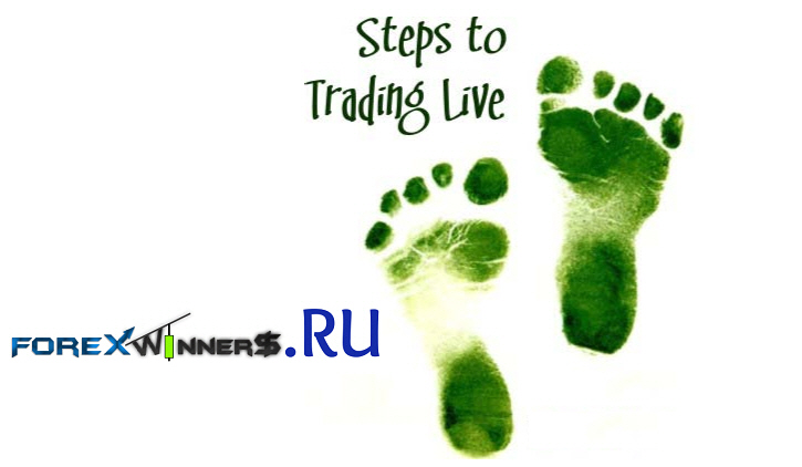 How much do successful forex traders make