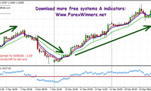 Indestructibletrendwinner.net social networks report