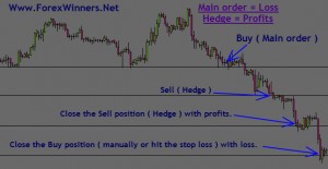 Hedging chart loss and profits