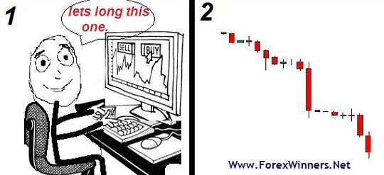 Forex fun , funny forex , funny forex pictures , comoc forex , forex for fun