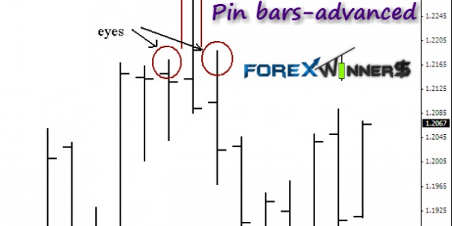 Pin bars-advanced