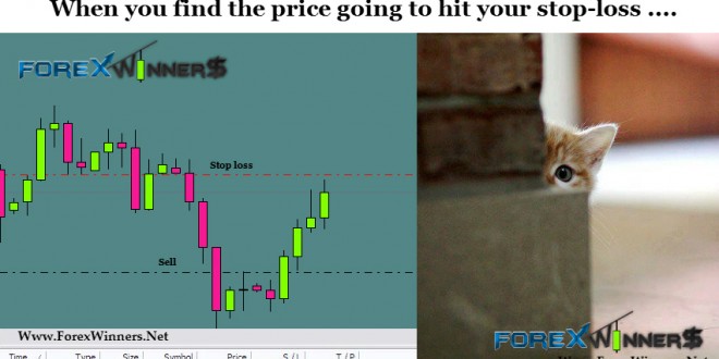 Forex funny , funny forex pictures , forex fun , forex winners