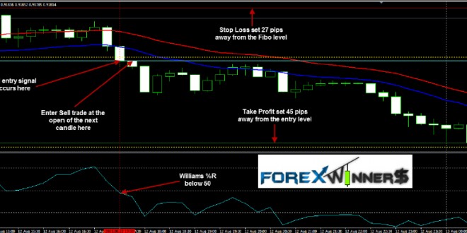 ForexProfitabilityCode