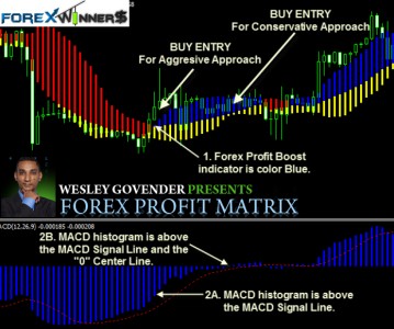 Forex Profit Matrix