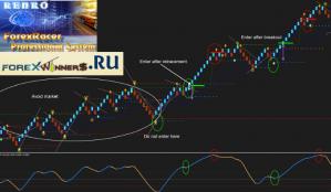 Forex racer professional renko system free