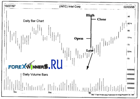 forex winners