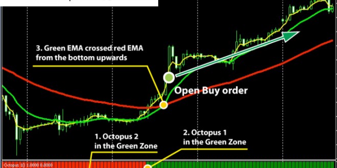 forex octopus system