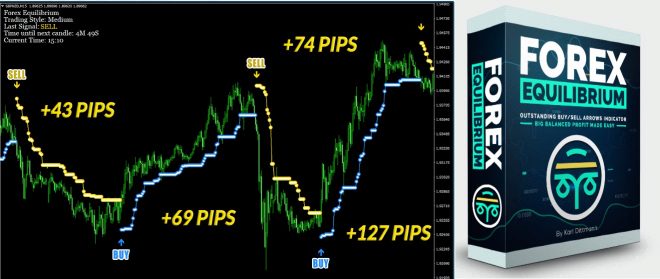 FX Equilibrium